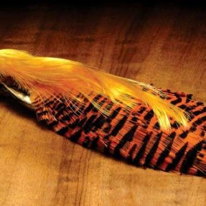 Golden Pheasant Complete Head