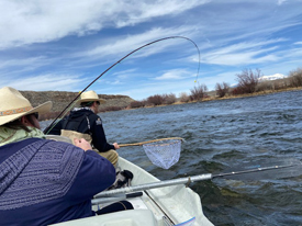 March 20th-March 27th | Madison River Fishing Report