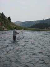 July 25th – July 31st | Madison River Fishing Report