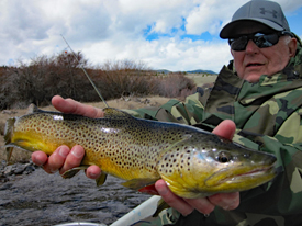 May 1st-May 8th Madison River Fishing Report