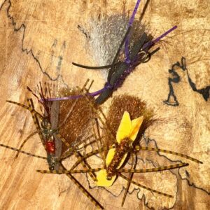 DelektableMegaChubbynessStrikeI